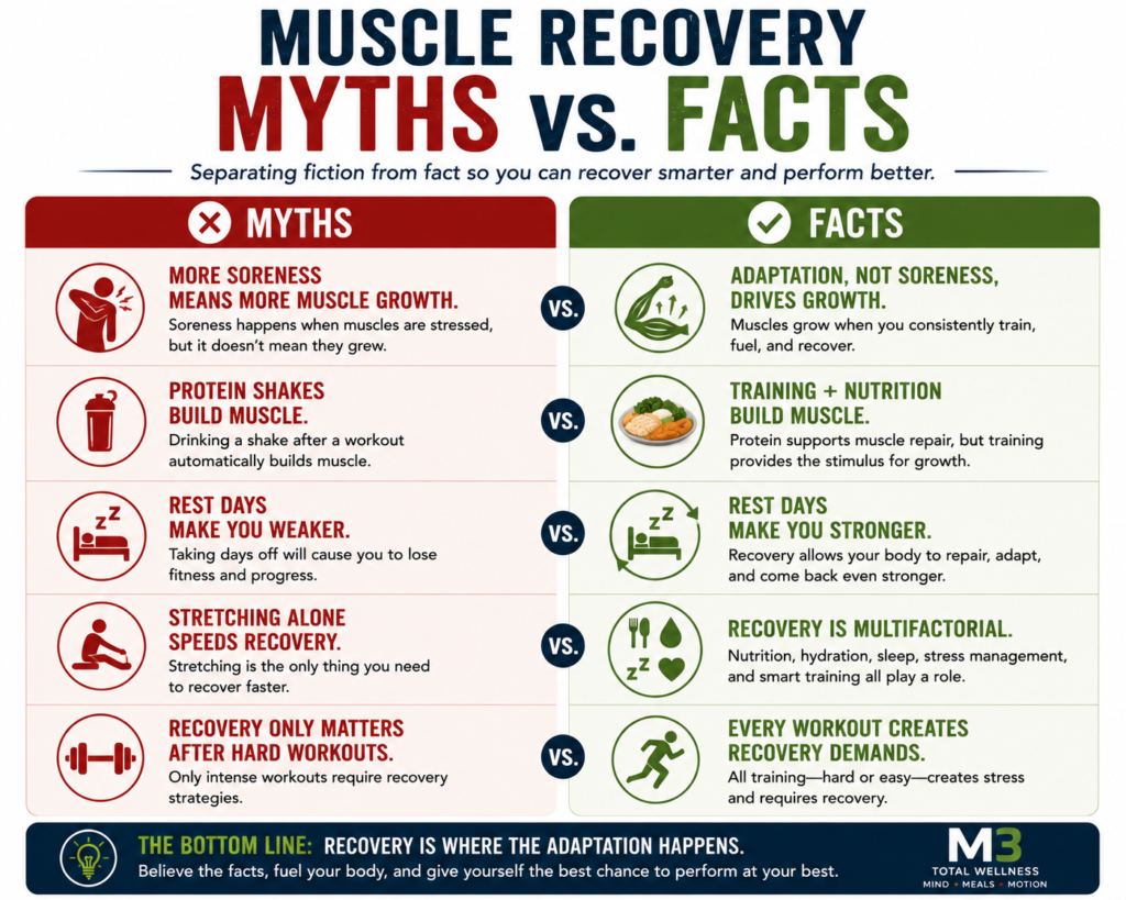 Muscle Recovery Myths and Facts