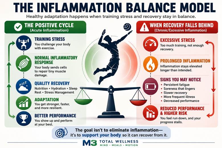 The Inflammation Balance Model